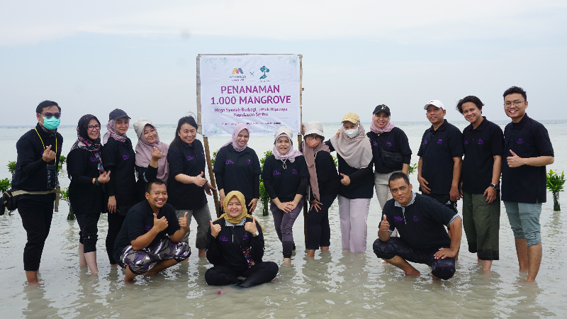 Gambar Monitoring