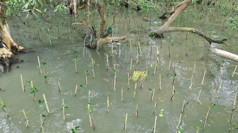 Gambar Monitoring