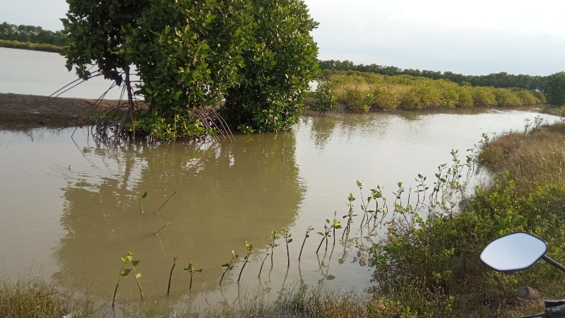Gambar Monitoring