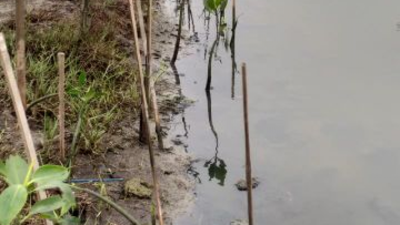 Gambar Monitoring