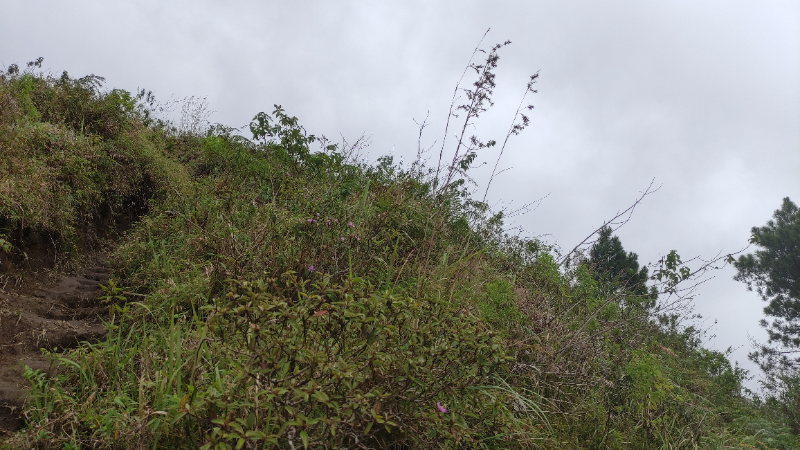 Gambar Monitoring