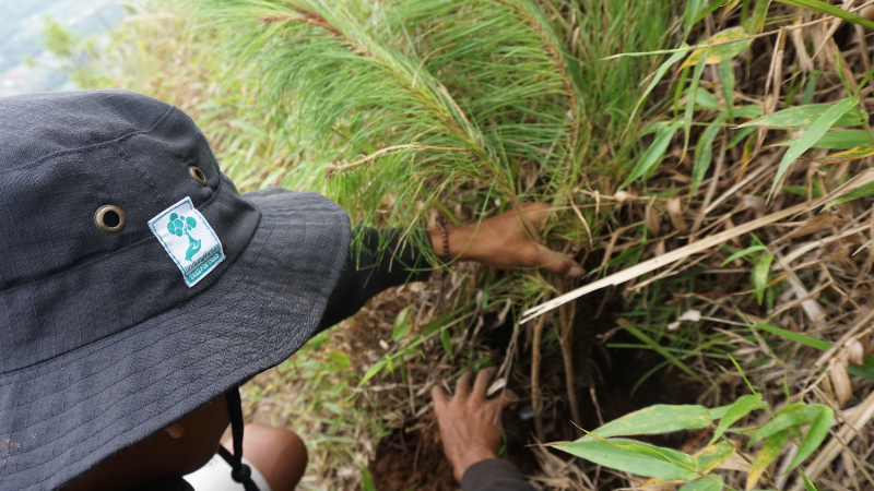 Gambar Monitoring