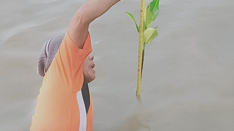Gambar Monitoring