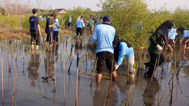 Gambar Monitoring