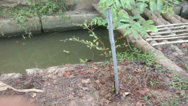 Gambar Monitoring