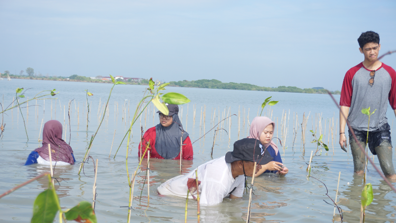 Gambar Monitoring