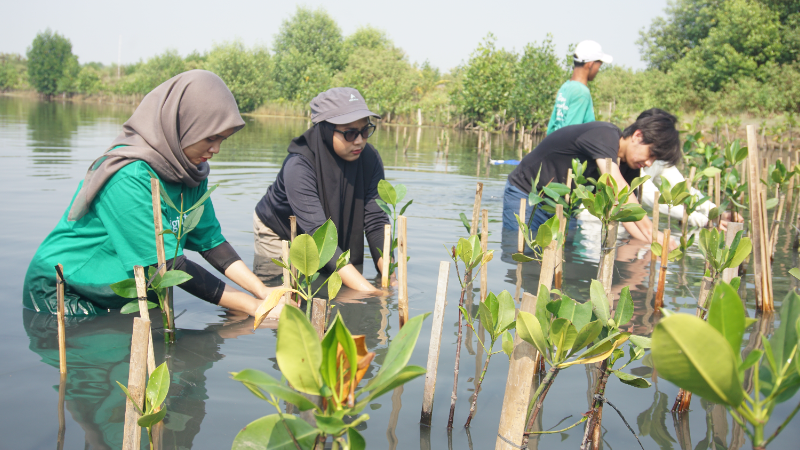 Gambar Monitoring