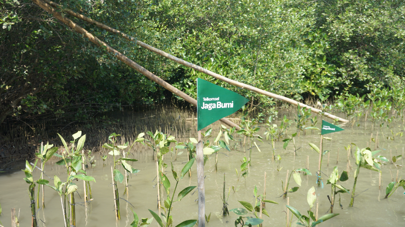 Gambar Monitoring