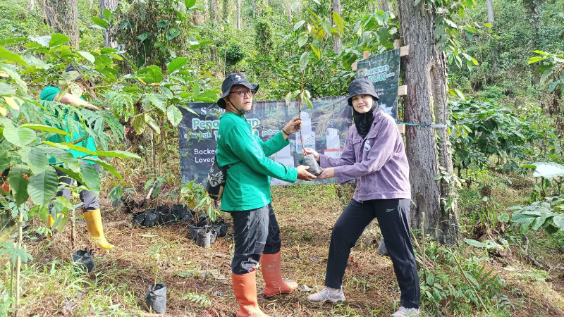 Gambar Monitoring