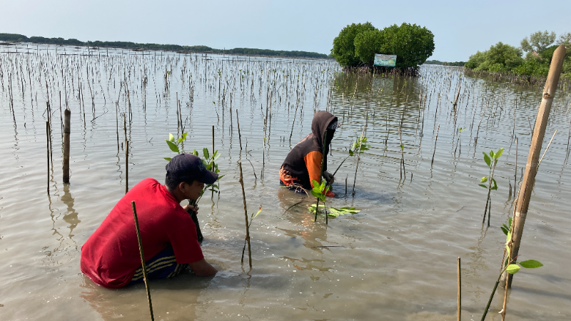 Gambar Monitoring