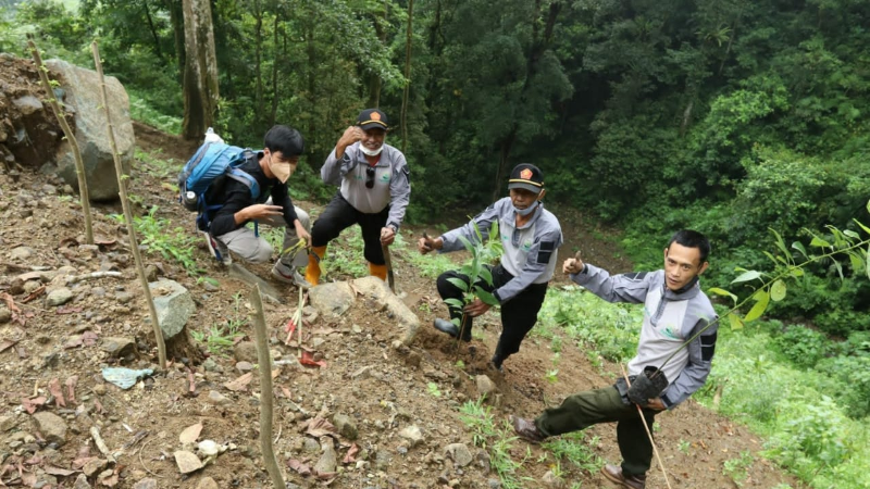 Gambar Monitoring