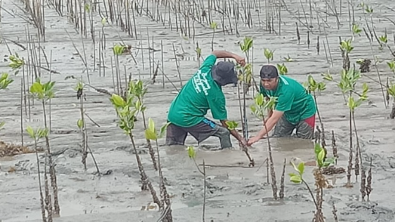 Gambar Monitoring