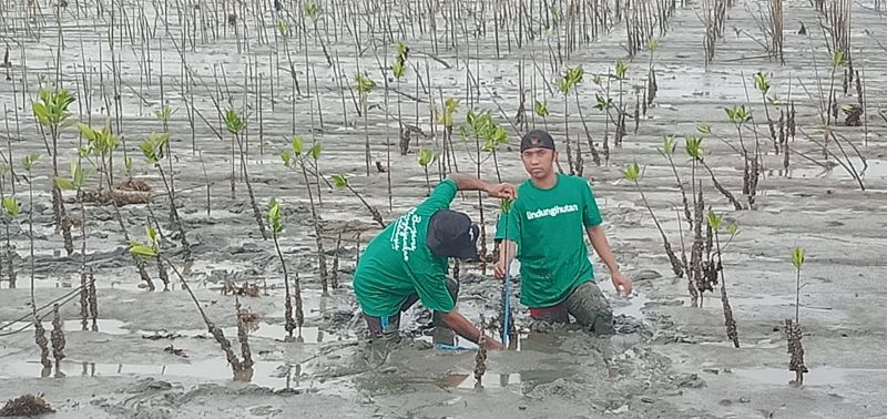 Gambar Monitoring