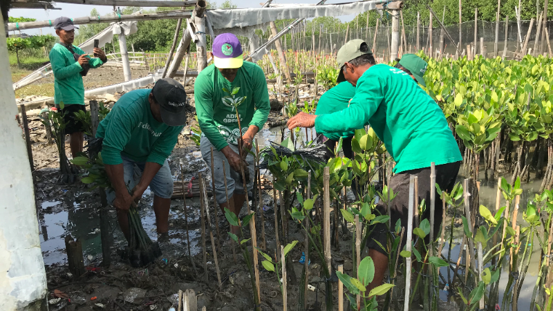 Gambar Monitoring