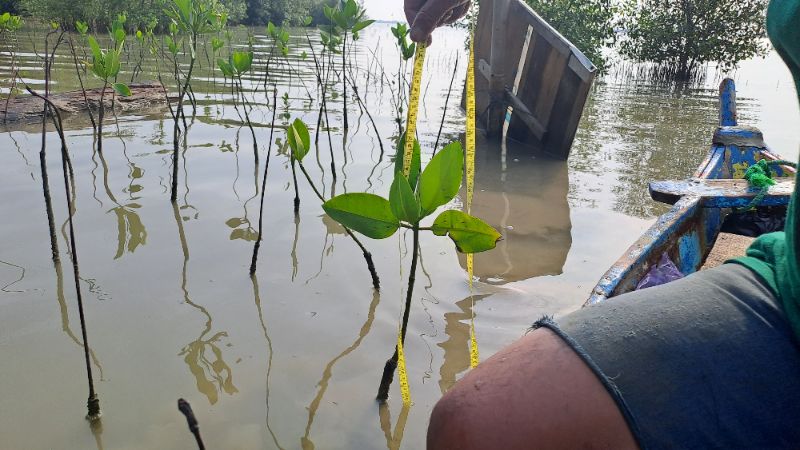 Gambar Monitoring