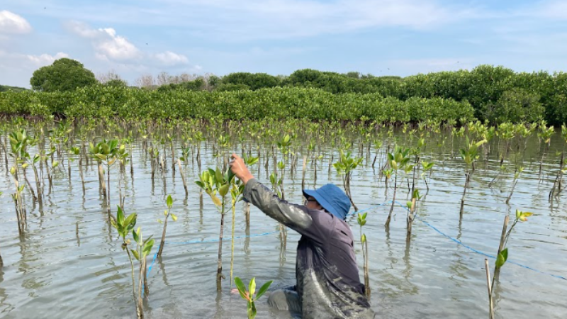Gambar Monitoring