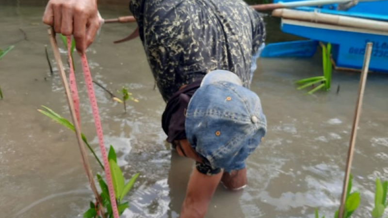 Gambar Monitoring