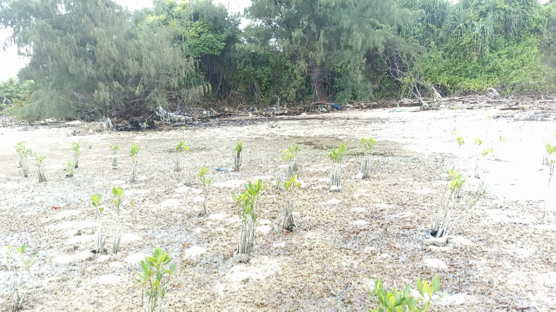 Gambar Monitoring