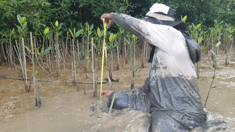 Gambar Monitoring