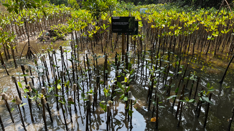 Gambar Monitoring