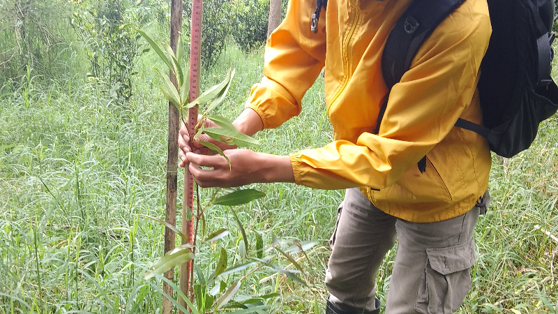 Gambar Monitoring