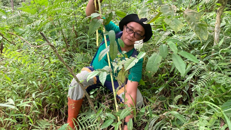 Gambar Monitoring