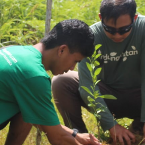 Gambar Monitoring