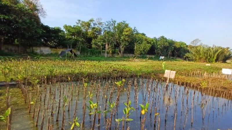 Gambar Monitoring