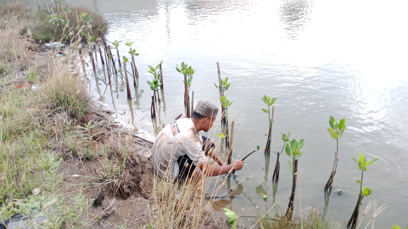 Gambar Monitoring