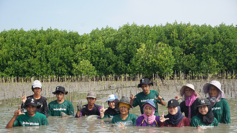 Gambar Monitoring