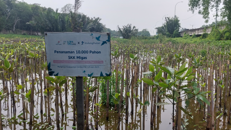 Gambar Monitoring