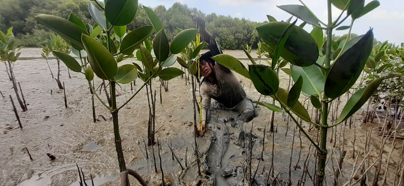 Gambar Monitoring