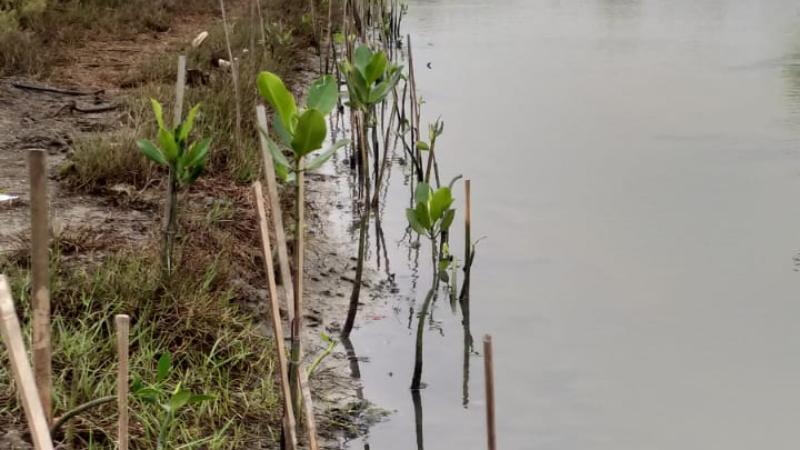 Gambar Monitoring