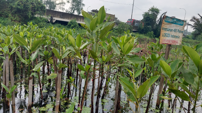 Gambar Monitoring