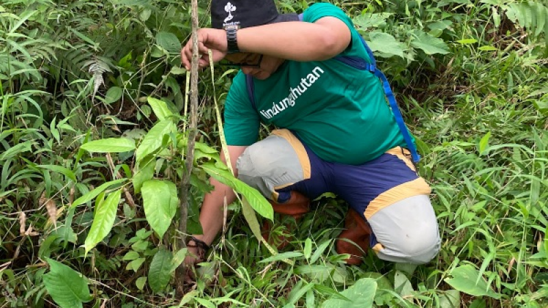Gambar Monitoring