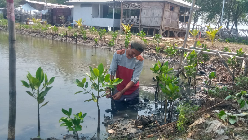 Gambar Monitoring