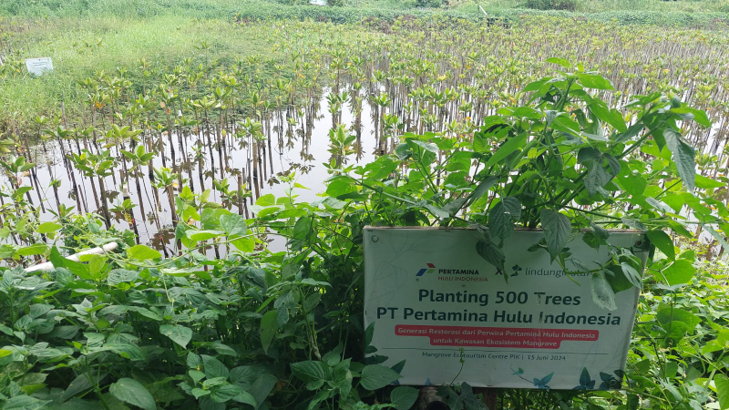 Gambar Monitoring