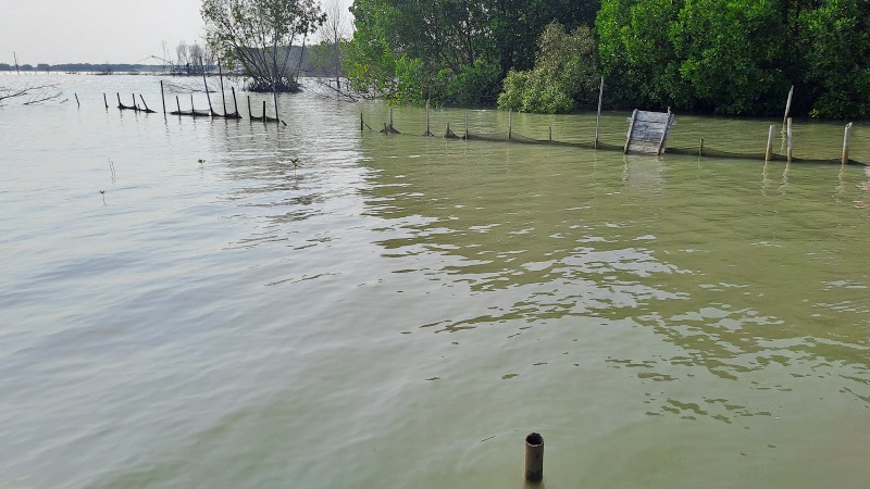 Gambar Monitoring