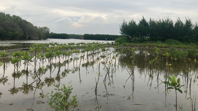Gambar Monitoring