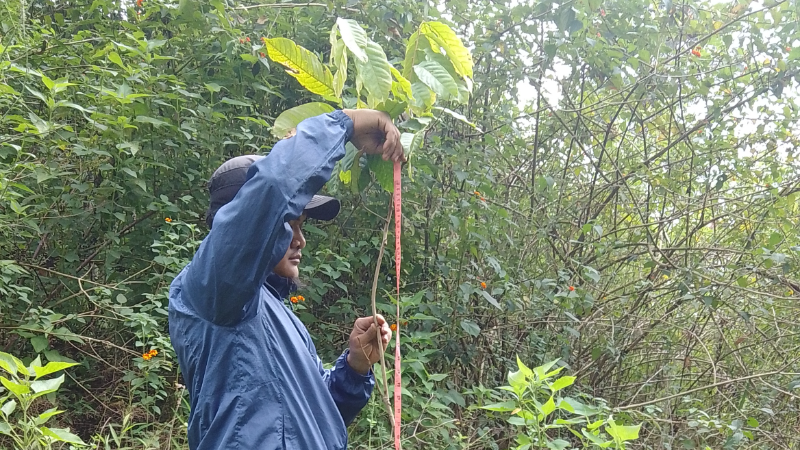 Gambar Monitoring