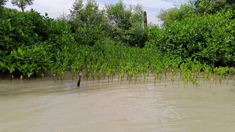 Gambar Monitoring