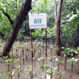 Gambar Monitoring