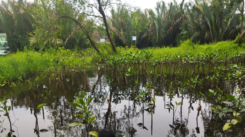 Gambar Monitoring