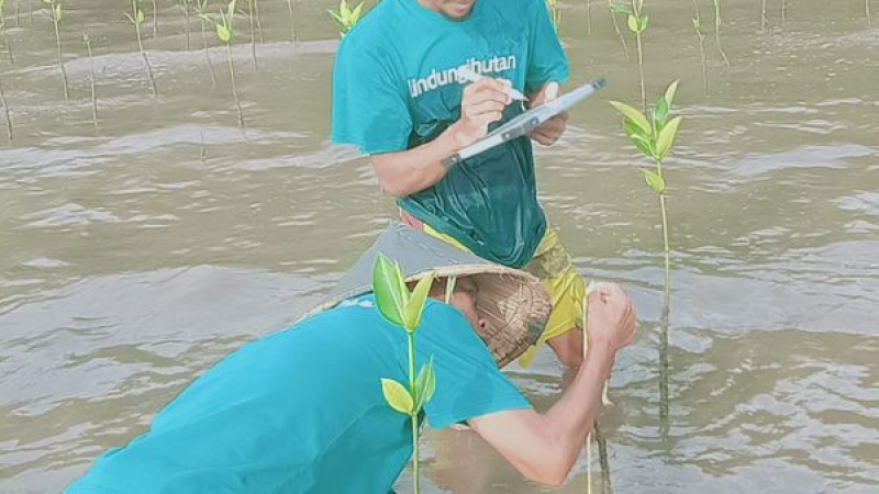 Gambar Monitoring
