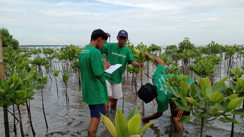 Gambar Monitoring