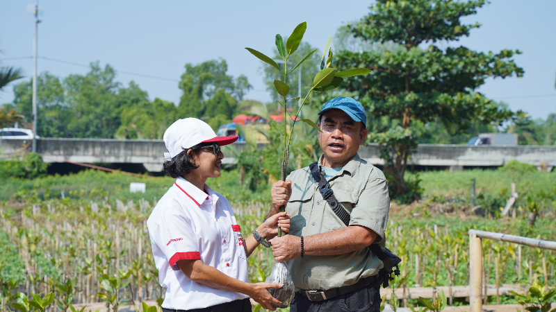 Gambar Monitoring