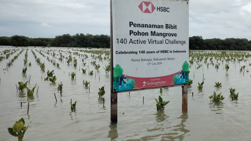 Gambar Monitoring