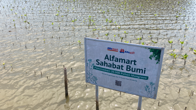 Gambar Monitoring