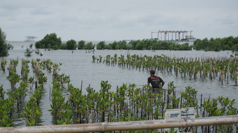 Gambar Monitoring