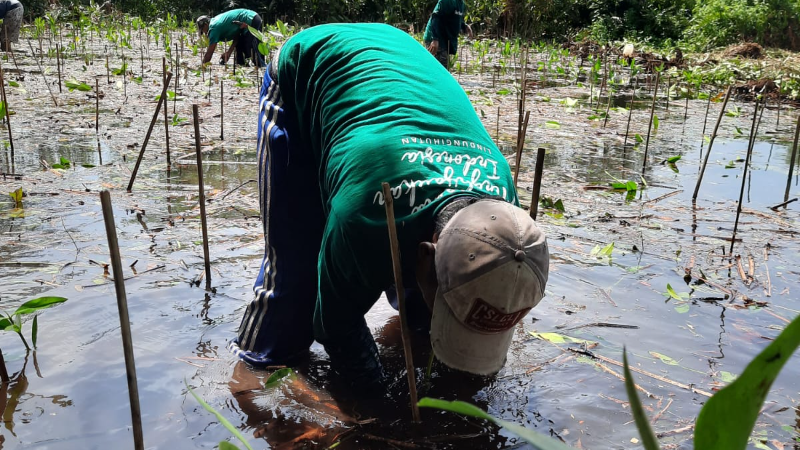 Gambar Monitoring